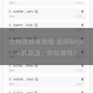 比特派转账教程 选择Bitpie的原因，你知道吗？