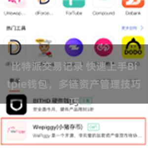 比特派交易记录 快速上手Bitpie钱包，多链资产管理技巧