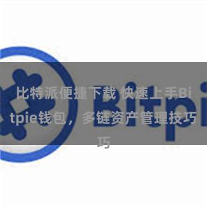 比特派便捷下载 快速上手Bitpie钱包，多链资产管理技巧