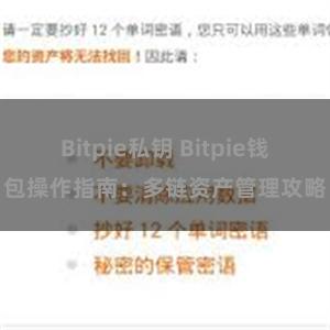 Bitpie私钥 Bitpie钱包操作指南：多链资产管理攻略