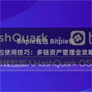 Bitpie钱包 Bitpie钱包使用技巧：多链资产管理全攻略