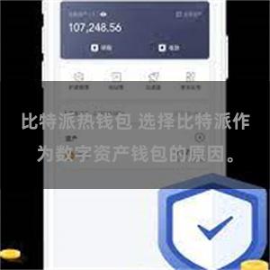 比特派热钱包 选择比特派作为数字资产钱包的原因。
