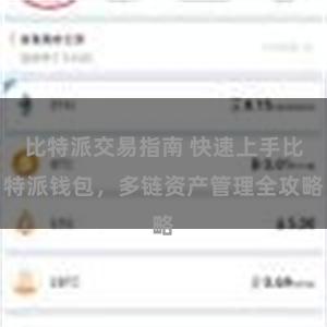 比特派交易指南 快速上手比特派钱包，多链资产管理全攻略