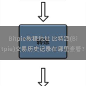 Bitpie教程地址 比特派(Bitpie)交易历史记录在哪里查看？