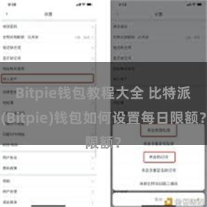 Bitpie钱包教程大全 比特派(Bitpie)钱包如何设置每日限额？