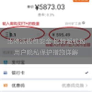 比特派钱包安全 比特派钱包用户隐私保护措施详解