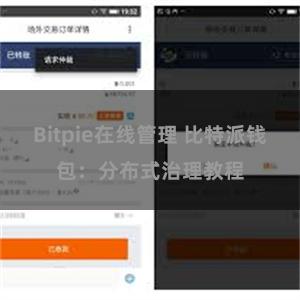 Bitpie在线管理 比特派钱包：分布式治理教程