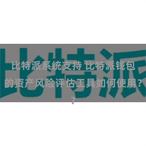 比特派系统支持 比特派钱包的资产风险评估工具如何使用？