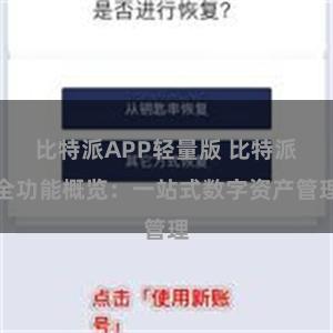 比特派APP轻量版 比特派全功能概览：一站式数字资产管理