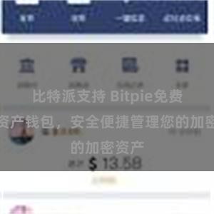 比特派支持 Bitpie免费数字资产钱包，安全便捷管理您的加密资产