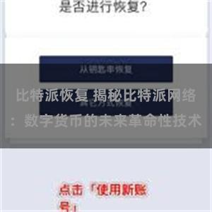 比特派恢复 揭秘比特派网络：数字货币的未来革命性技术
