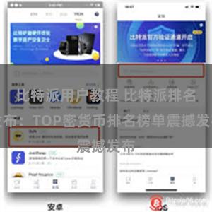 比特派用户教程 比特派排名发布：TOP密货币排名榜单震撼发布